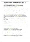 Urinary System &lpar;Final Exam for A&P II&rpar; graded A&plus;