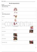Bio 254 lab practical 2 Flashcards &lowbar; WITH 100- SURE ALL CORRECT ANSWERS&period;pdf
