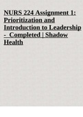 NURS 224 Assignment 1&colon; Prioritization and Introduction to Leadership&sol;Shadow Health &period;