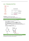 Samenvatting Hoofdstuk 4 Moleculaire Biologie