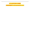ATI CAPSTONE COMBO ASSESSMENT A&colon;B download for an A   