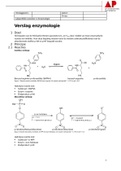 Verslag enzymologie_labportfolio 4