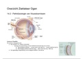 NZA (Neurologie, Zintuigen En Anesthesiologie) Overzicht Ziekteleer Ogen