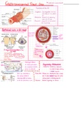 Gastrointestinal tract notes one
