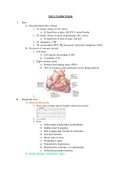 Unit 2: Cardiac System