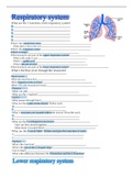 A&P 2 review sheet - respiratory system 