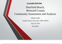 Deerfield Beach, Broward County Community Assessment and Analysis.