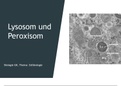 Präsentation - Lysosom und Peroxisom