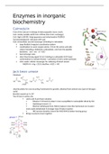 Summary inorganic biochemistry per enzyme &lpar;NWI-MOL105&rpar;