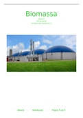 Scheikunde 4VWO Beschouwing gebruik biogassen