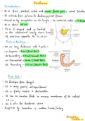 Abdominal organ (Duodenum, Extrahepatic Biliary Apparatus, Large Intestine – Caecum, Large intestine, portal vein, Small intestine , spleene , Vermiform Appendix )