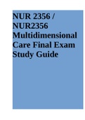 NUR 2356 / NUR2356 Multidimensional Care Final Exam Study Guide (Latest 2022)