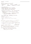 Lecture 9 Notes