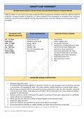 Rashid Ahmed Vsim Complete Concept Map Worksheet/ Complete Solution SCORE A