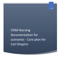 VSIM Nursing documentation for scenarios - Care plan for Carl Shapiro