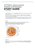 ATI TEAS 6 - Science &lpar;Human Anatomy and Physiology&rpar; STUDY GUIDE