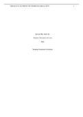 NURSING D030&colon; Systems Service Plan Brief for Diabetes Education Services&period; Western Governors University