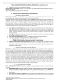 Apuntes Derecho Internacional Público (7101216) 