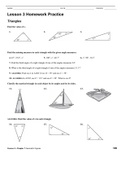Geometric Figures Lesson 3 Extra Practice Triangles