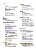 Guides in writing and analyzing 21st Century Literature