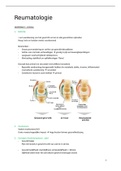 Samenvatting methodiek en vaardigheden 7 - Deel Reumatologie