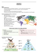 Zusammenfassung „Globalisation“ (Abitur-Lernzettel: Englisch LK NRW)