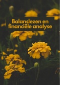 Lesnotities Balanslezen en Financiële analyse tem les 9 2022