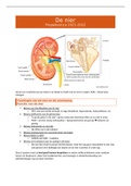 Samenvatting propedeutica: de nier (3e Ba DGK UA)