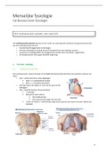 Samenvatting  Menselijke Fysiologie - Cardiovasculaire Fysiologie