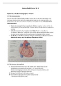 Lernzettel Herz-Kreislaufsystem