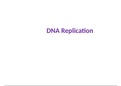 Notes on DNA Replication