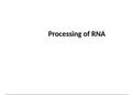 Notes for Processing RNA