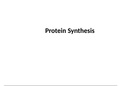 Notes for Protein Synthesis