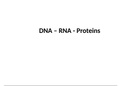 Notes for DNA, RNA, and Proteins