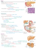 Tractus digestivus (anatomie en fysiologie)