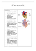 Betekenis Latijnse namen anatomie hart, bloedvaten, etc.