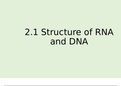 Ch 2 Nucleic acids notes A* AQA A Level Biology