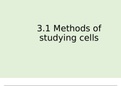 Ch 3 Cell Structure notes A* AQA  A Level Biology 