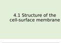 Ch 4 Transport across cell membranes notes A* AQA A Level Biology