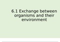 Ch 6 Exchange notes A* AQA A Level Biology