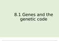 Ch 8 DNA, genes and protein synthesis notes A* AQA A Level Biology