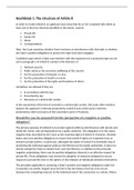 Samenvatting Guide on Article 8 of the European Convention on Human Rights: Right to respect for private and family life (Updated on 31 August 2021)