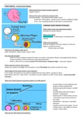 Cardiovascular diseases - lecture notes 