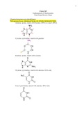Ochem and Biochem Overview Summaries