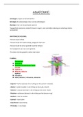 Samenvatting  Anatomie (Semester 1) - 19/20**