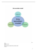 Verslag 3 Werelden model Social Work