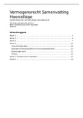 College aantekeningen Vermogensrecht  Recht begrepen  -   Verbintenissenrecht begrepen, ISBN: 9789462909083
