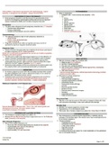 Obstetrics and gynecology summary notes 