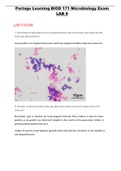 BIOD 171 Microbiology EXAMS Lab 1-9 Questions and Answers Latest 2021