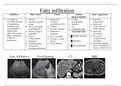 Liver Pathology - Ultrasound